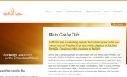 safron-labs